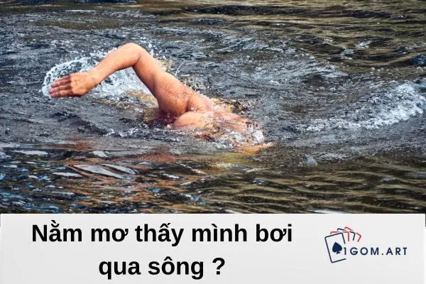 nằm mơ thấy mình bơi qua sông (2)