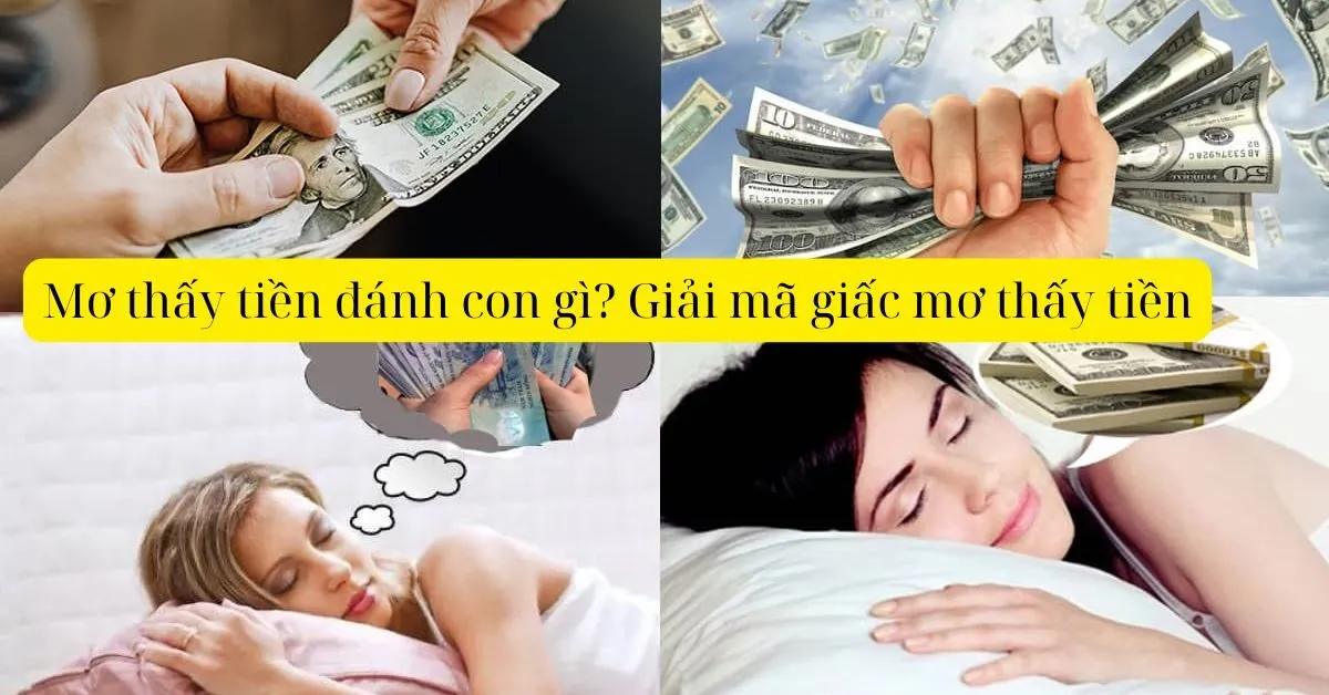 Mơ thấy tiền đánh con gì? Giải mã giấc mơ thấy tiền